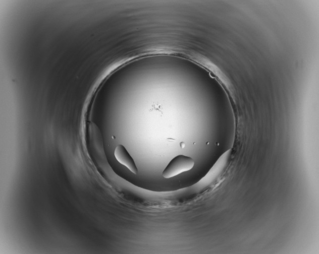 X0000099961187200805301308