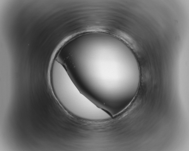 X0000099961188200805301308