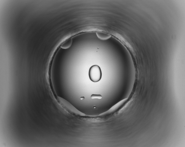 X0000099961189200805301308