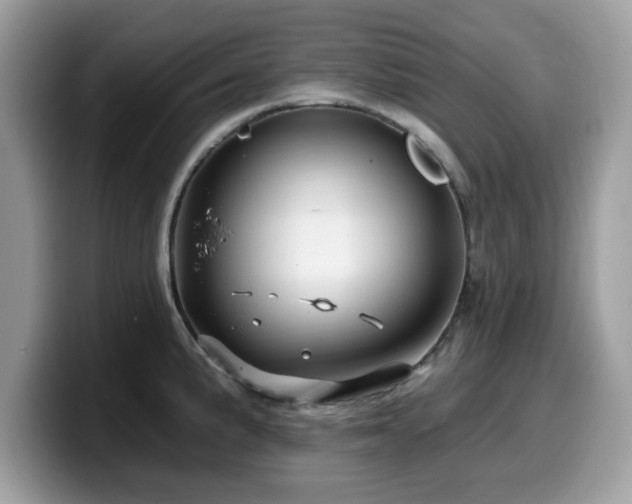 X0000099961191200805301308