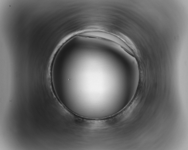 X0000099961192200805301308