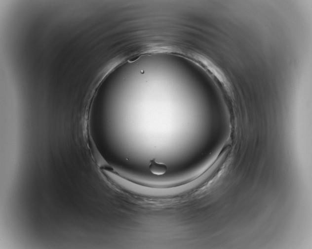 X0000099961193200805301308