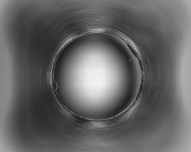 X0000099961194200805301308