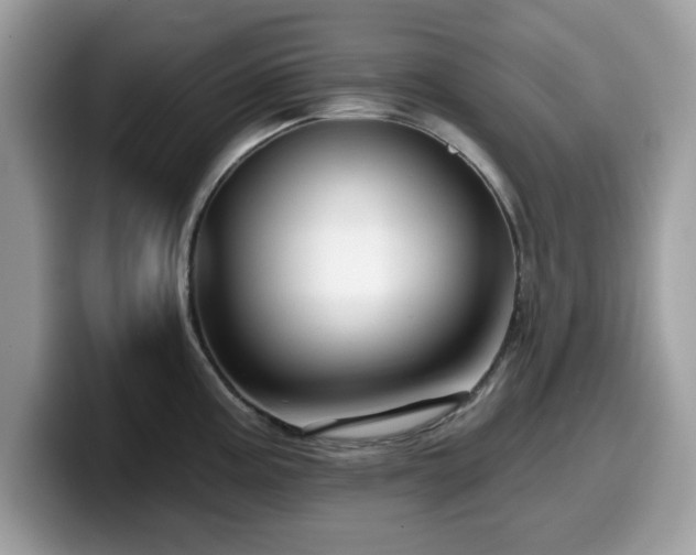X0000099961195200805301308