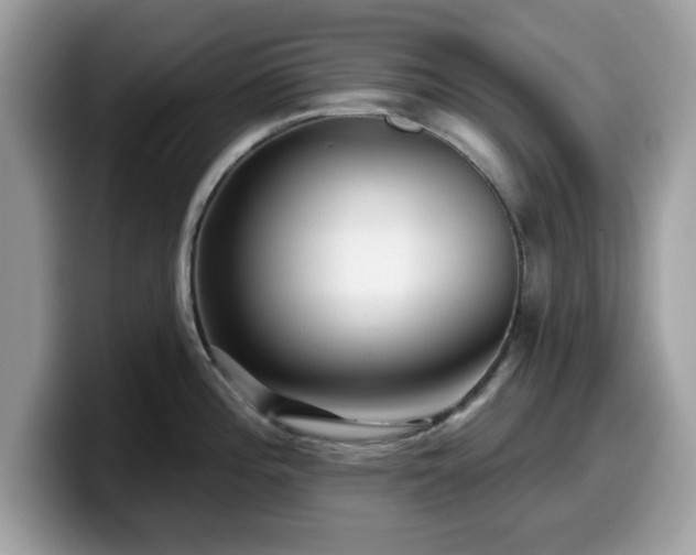 X0000099961196200805301308