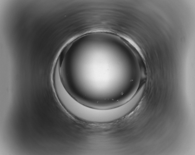 X0000099961197200805301308
