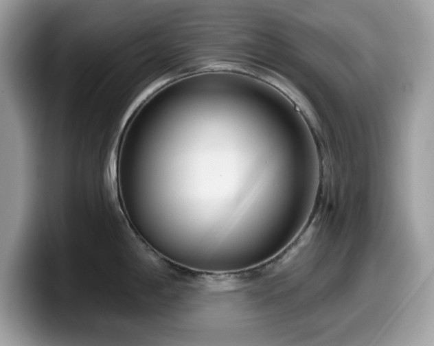 X0000099961198200805301308