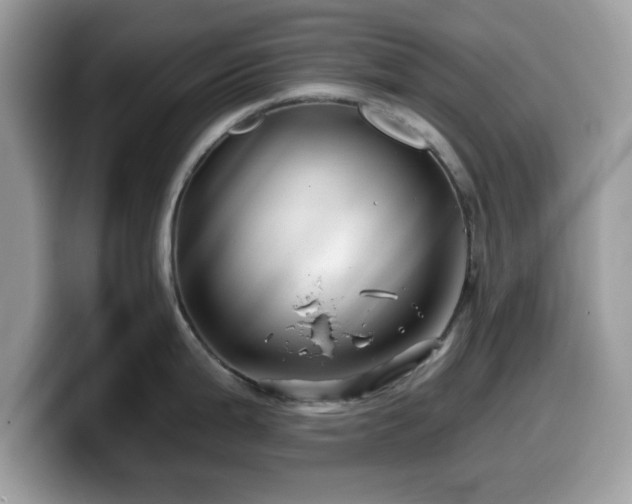 X0000099961199200805301308