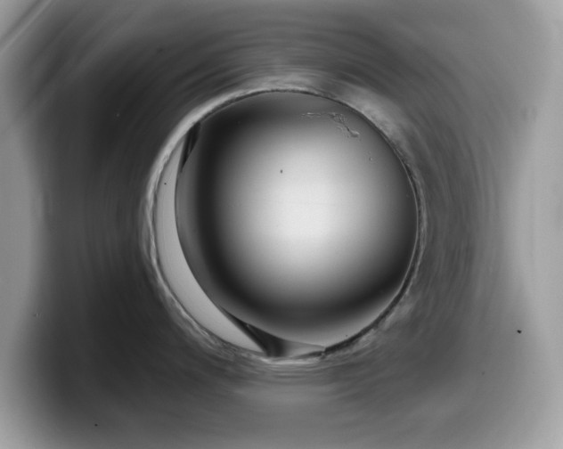 X0000099961200200805301308