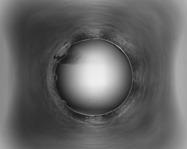 X0000099961201200805301307