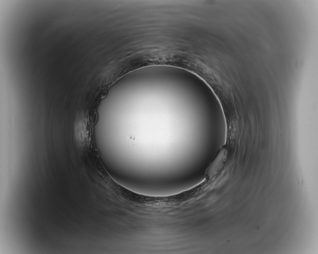 X0000099961202200805301307