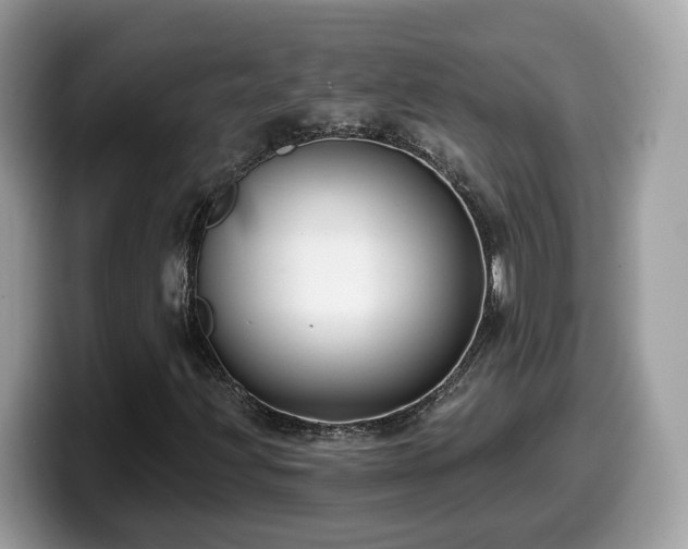X0000099961203200805301307