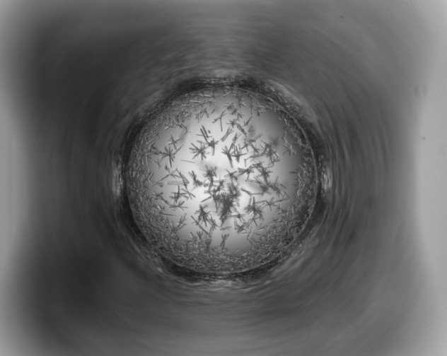 X0000099961204200805301307