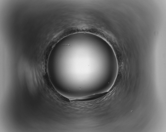 X0000099961205200805301307