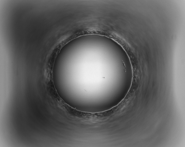 X0000099961207200805301307