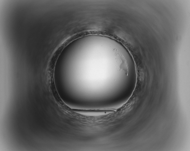 X0000099961208200805301307