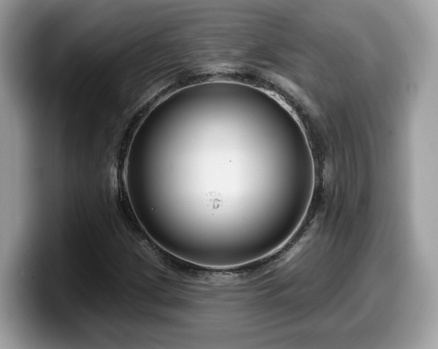 X0000099961209200805301307