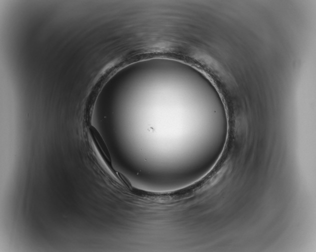 X0000099961210200805301307
