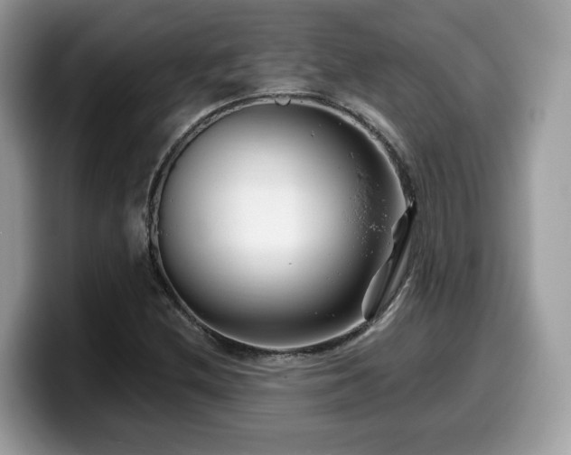 X0000099961212200805301307