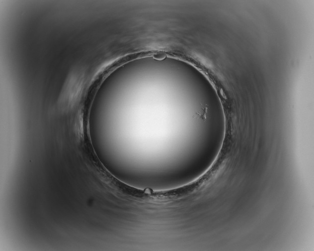 X0000099961214200805301307