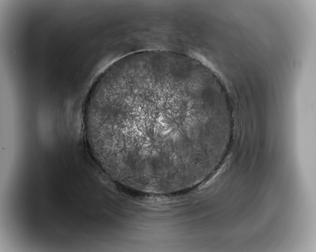 X0000099961215200805301307