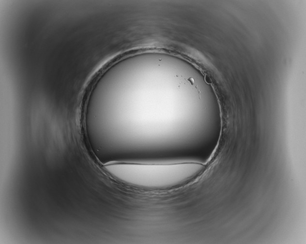 X0000099961216200805301307