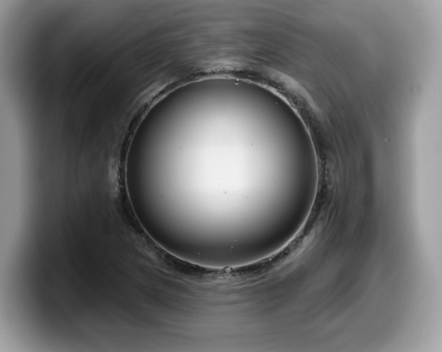 X0000099961217200805301307