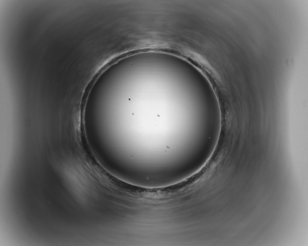 X0000099961220200805301307
