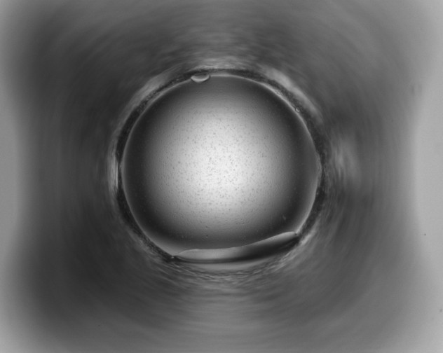X0000099961221200805301307