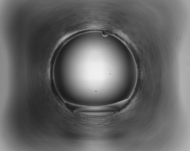 X0000099961222200805301307