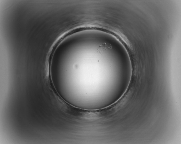 X0000099961224200805301307