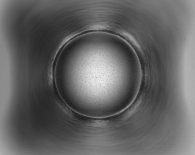 X0000099961226200805301307
