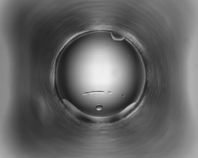 X0000099961228200805301307