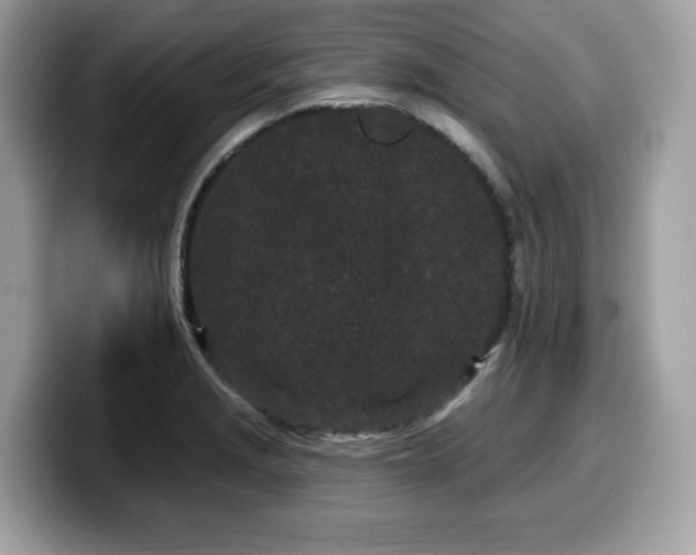 X0000099961229200805301307