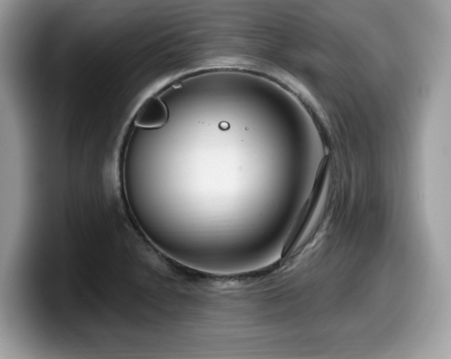 X0000099961230200805301307