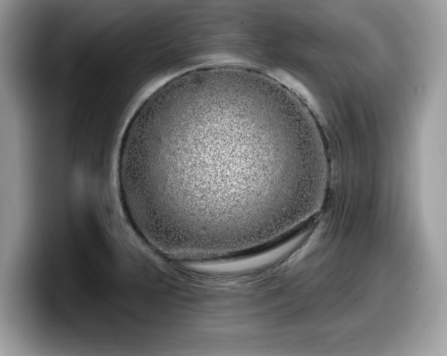 X0000099961231200805301307
