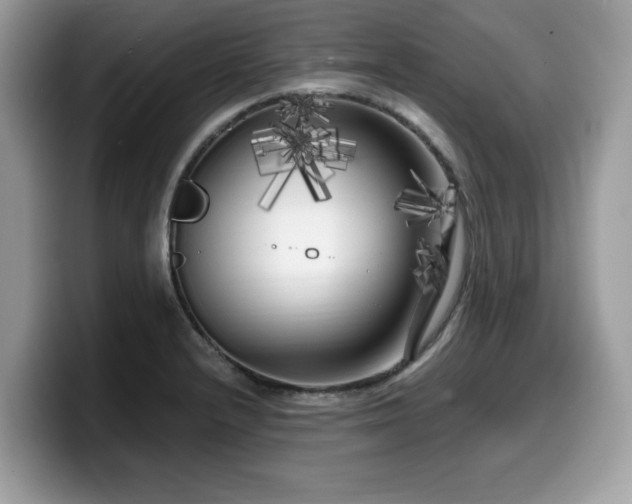 X0000099961232200805301307