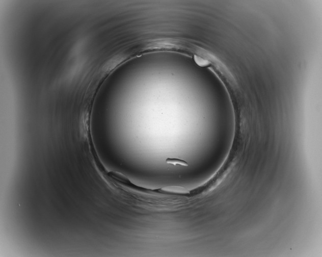 X0000099961233200805301307