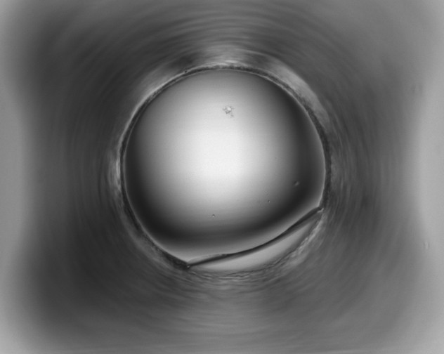X0000099961234200805301307