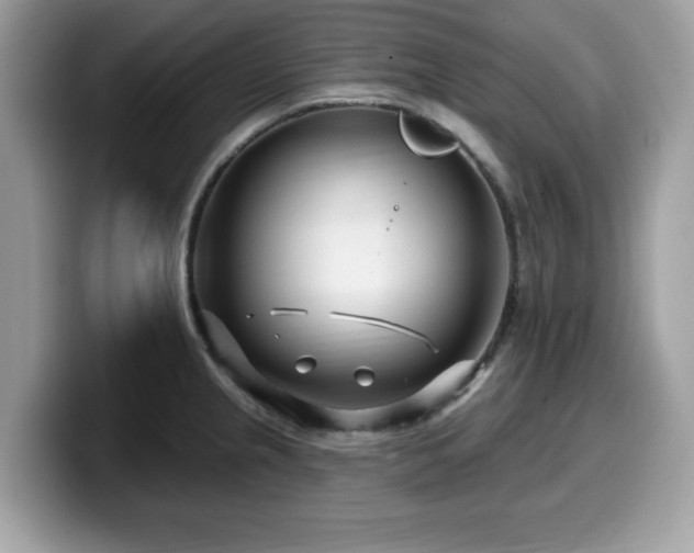 X0000099961237200805301307