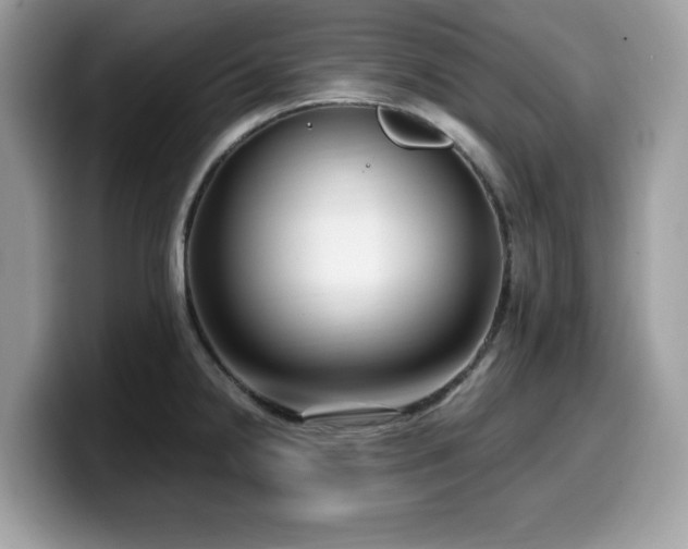 X0000099961238200805301307