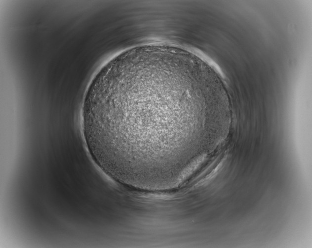 X0000099961239200805301307