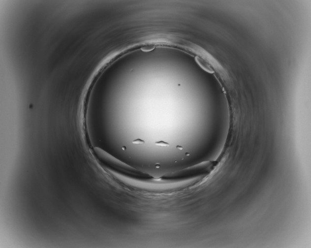X0000099961240200805301307