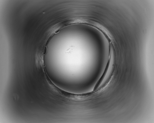 X0000099961241200805301307