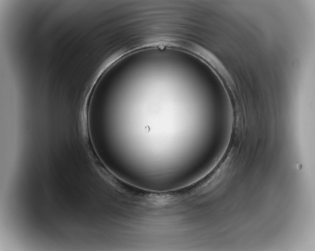 X0000099961242200805301307