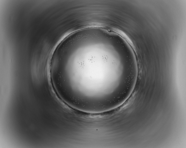 X0000099961243200805301307