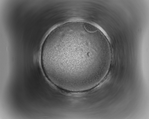X0000099961245200805301307