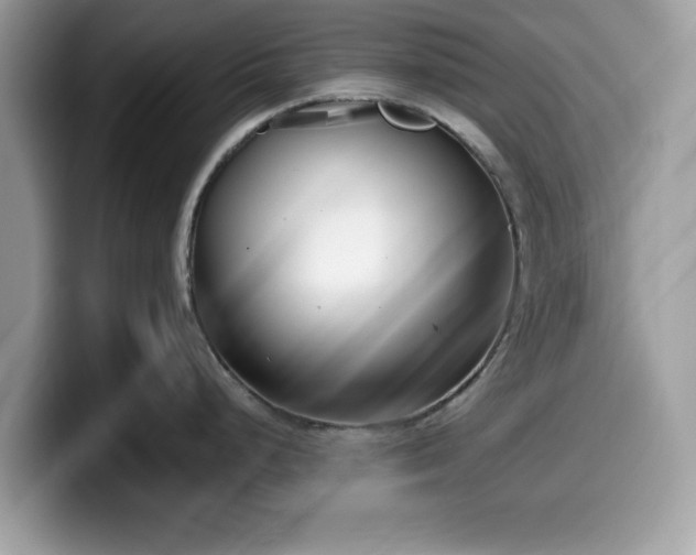 X0000099961248200805301308