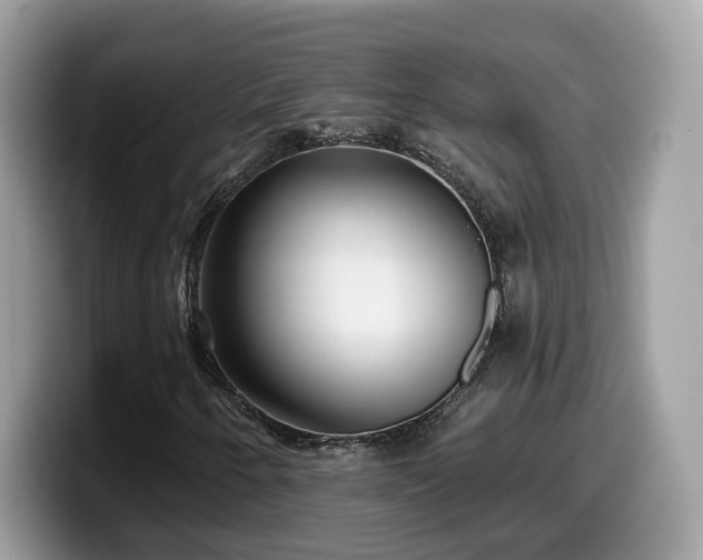 X0000099961250200805301307