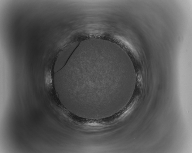 X0000099961252200805301307